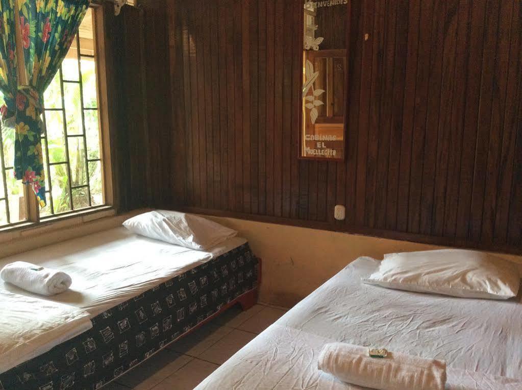 Cabinas El Muellecito Tortuguero Ngoại thất bức ảnh