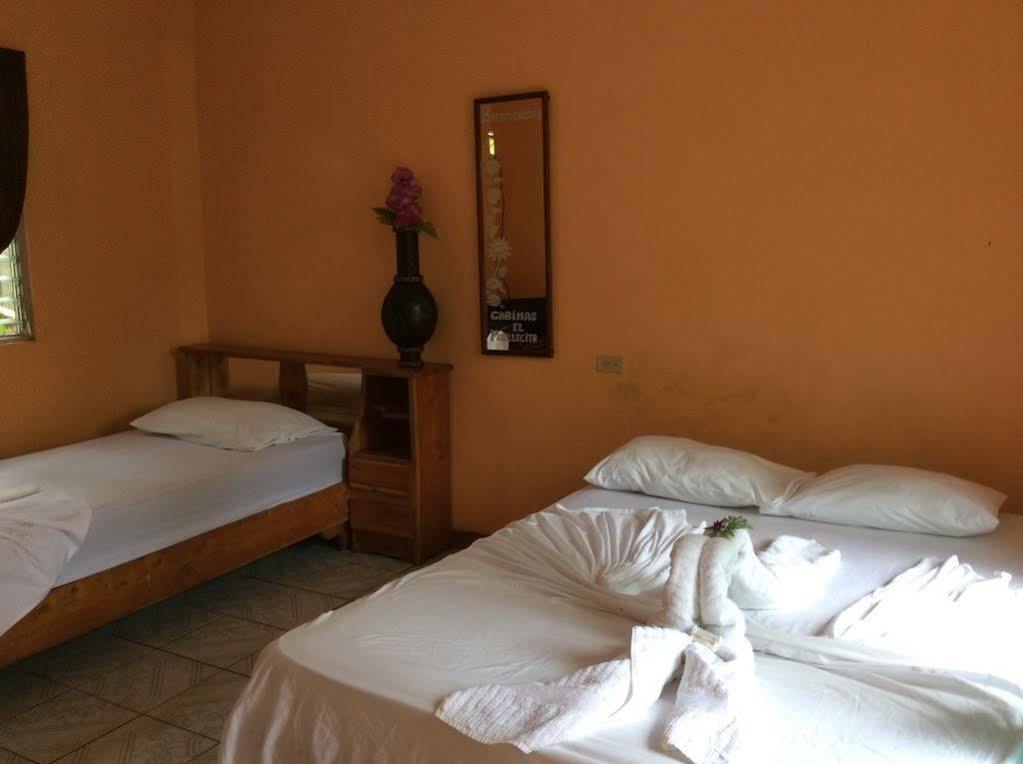 Cabinas El Muellecito Tortuguero Ngoại thất bức ảnh
