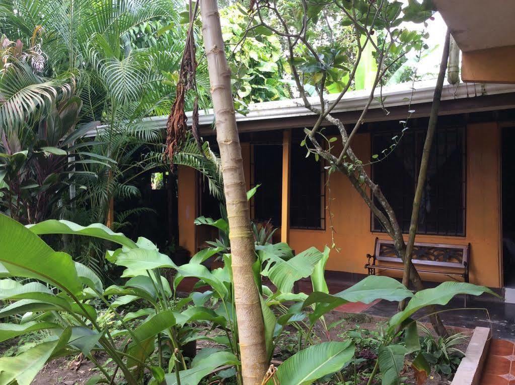 Cabinas El Muellecito Tortuguero Ngoại thất bức ảnh